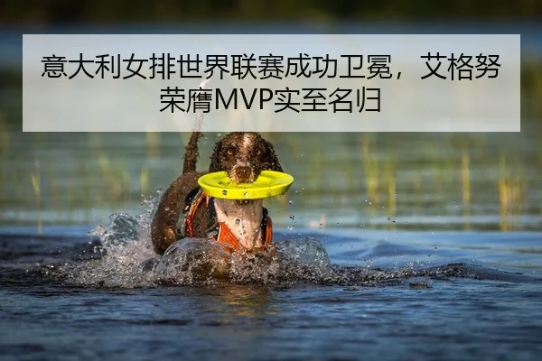 yi-da-li-nv-pai-shi-jie-lian-sai-cheng-gong-wei-mian-ai-ge-nu-rong-ying-shi-zhi-ming-gui-2-772.jpg